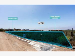 Terreno en venta en Francisco Zarco (Valle de Guadalupe), Ensenada — foto 3 de 4