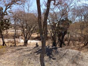 Terreno en venta en Santa Ana Matlavat Primera Manzana, Aculco — foto 3 de 20