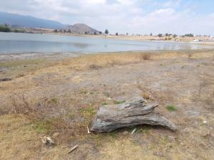Terreno en venta en Gunyo Poniente, Aculco — foto 2 de 19