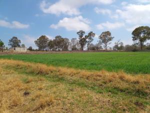 Terreno en venta en Gunyo Poniente, Aculco — foto 3 de 19
