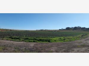 Terreno en venta en El Bonxhi, Aculco — foto 2 de 33