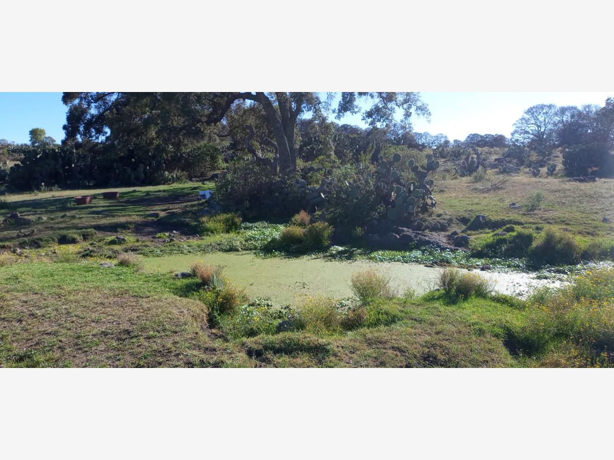 Terreno en venta en El Bonxhi, Aculco — foto 1 de 33