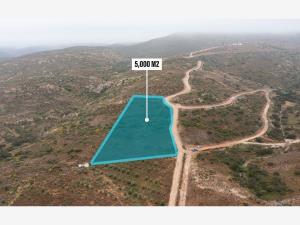 Terreno en venta en Francisco Zarco (Valle de Guadalupe), Ensenada — foto 2 de 6