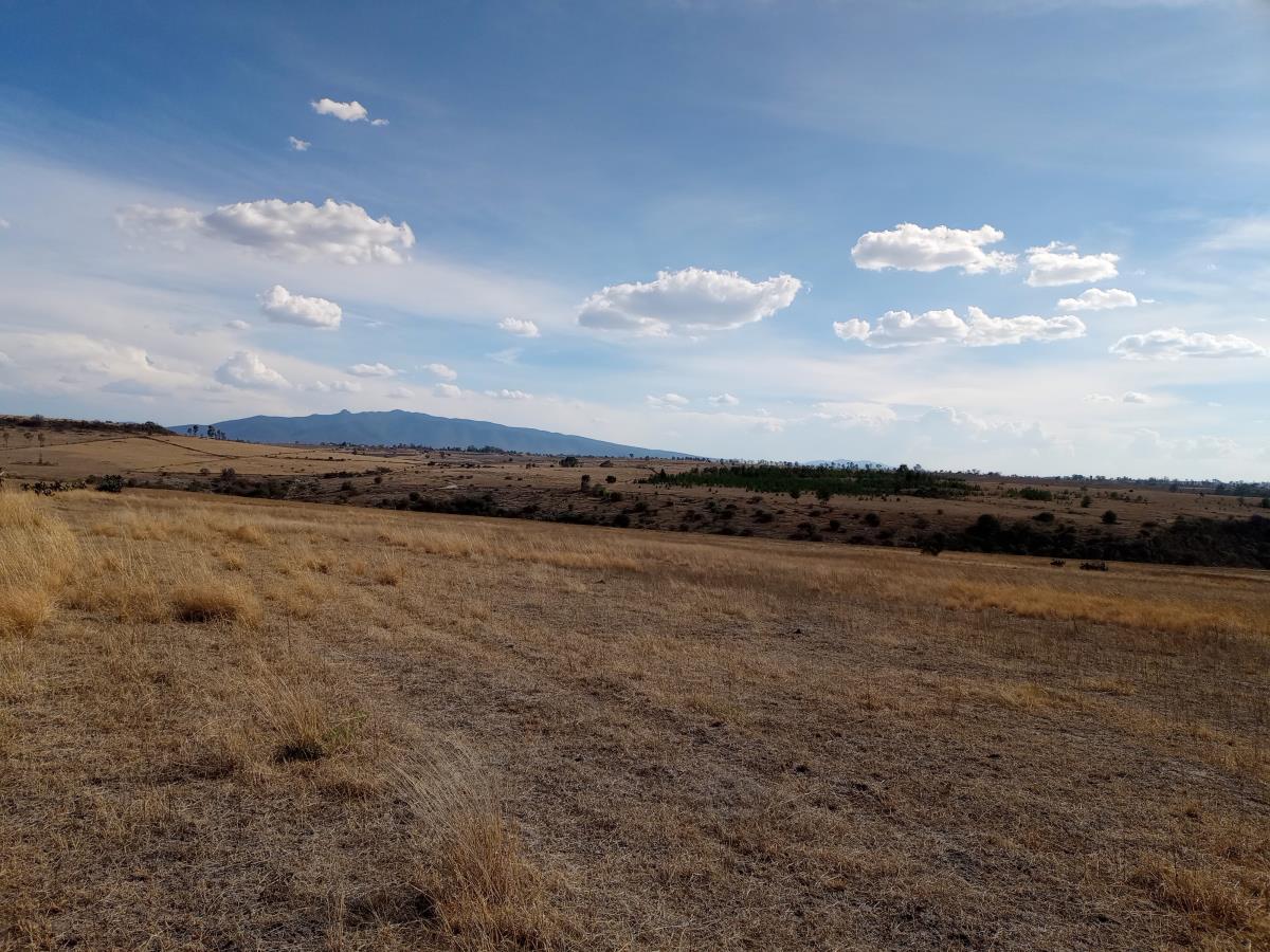 Terreno en venta en San Nicolás de los Cerritos, Polotitlán — foto 1 de 36
