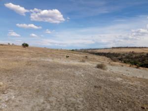 Terreno en venta en San Nicolás de los Cerritos, Polotitlán — foto 3 de 36