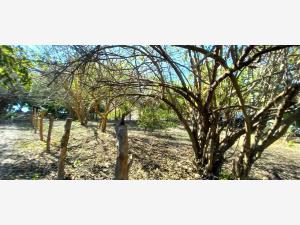 Terreno en venta en Chacahua, Villa de Tututepec — foto 2 de 13