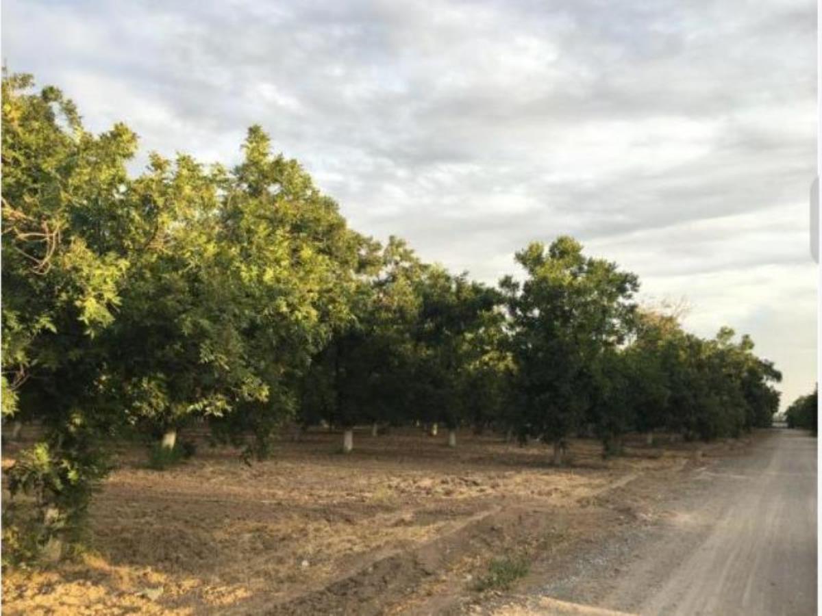 Terreno en Venta en La Barranca, Torreón, Coahuila de Zaragoza