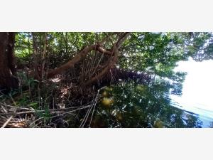 Terreno en venta en Chacahua, Villa de Tututepec — foto 2 de 17