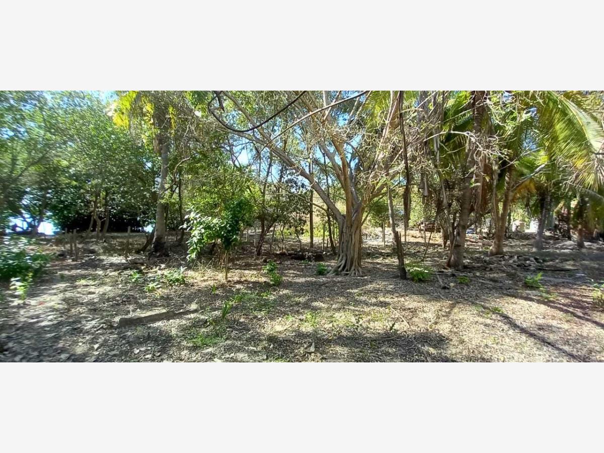 Terreno en venta en Chacahua, Villa de Tututepec — foto 1 de 17