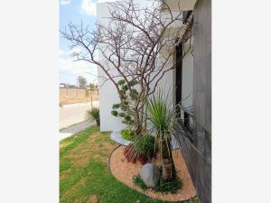 Casa en venta en Lomas de Angelópolis, San Andrés Cholula — foto 2 de 21
