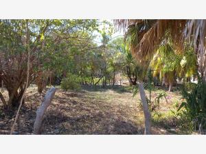 Terreno en venta en Chacahua, Villa de Tututepec — foto 2 de 12