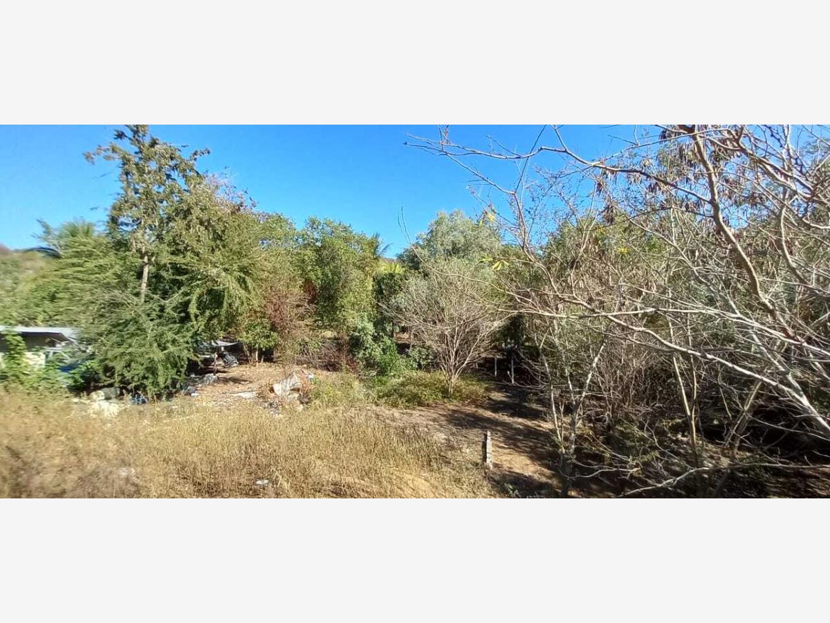 Terreno en venta en Chacahua, Villa de Tututepec — foto 1 de 11