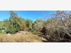 Terreno en venta en Chacahua, Villa de Tututepec, Oaxaca