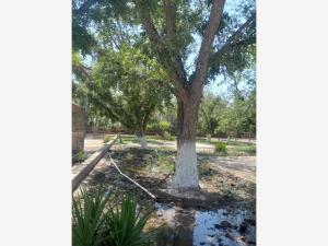 Terreno en venta en Esmeralda, Gómez Palacio — foto 2 de 5