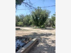 Terreno en venta en Esmeralda, Gómez Palacio — foto 3 de 5