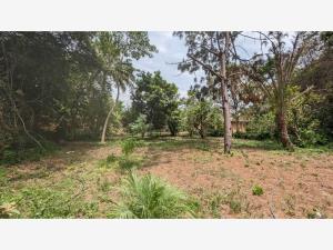 Finca-Rancho en venta en Ocotillo, Cuauhtémoc — foto 2 de 21