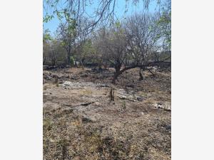 Terreno en venta en Lomas de Cocoyoc, Atlatlahucan — foto 3 de 11