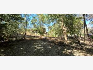 Terreno en venta en Chacahua, Villa de Tututepec — foto 2 de 7