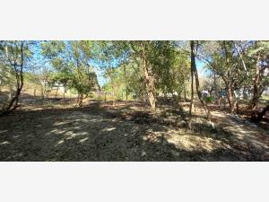 Terreno en venta en Chacahua, Villa de Tututepec — foto 3 de 7