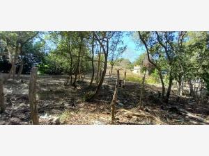 Terreno en venta en Chacahua, Villa de Tututepec — foto 3 de 12