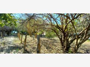 Terreno en venta en Chacahua, Villa de Tututepec — foto 3 de 12