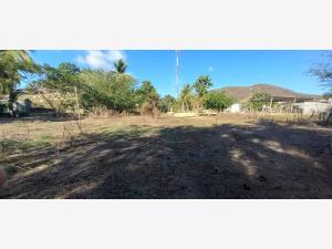 Terreno en venta en Chacahua, Villa de Tututepec — foto 3 de 8
