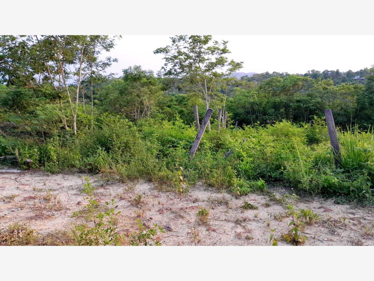 Terreno en venta en Salvador Allende, Poza Rica de Hidalgo — foto 1 de 14