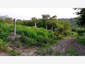 Terreno en venta en Salvador Allende, Poza Rica de Hidalgo — foto 3 de 14