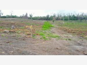 Terreno en venta en Arroyo del Maíz Uno, Poza Rica de Hidalgo — foto 3 de 17