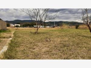 Terreno en venta en Noche Buena, Santa Cruz Xoxocotlán, Oaxaca
