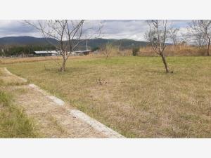 Terreno en venta en Noche Buena, Santa Cruz Xoxocotlán — foto 2 de 4