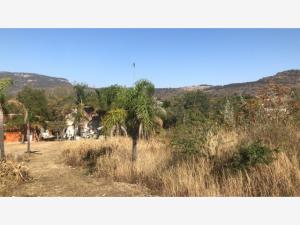 Terreno en venta en Los Robles, Zapopan — foto 3 de 8