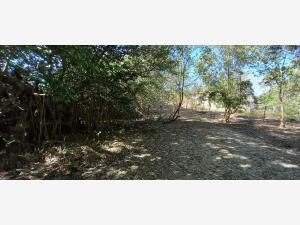 Terreno en venta en Chacahua, Villa de Tututepec — foto 2 de 8