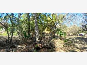 Terreno en venta en Chacahua, Villa de Tututepec — foto 3 de 12
