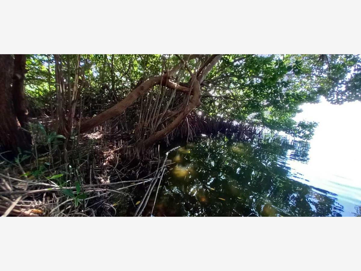 Terreno en venta en Chacahua, Villa de Tututepec — foto 1 de 16
