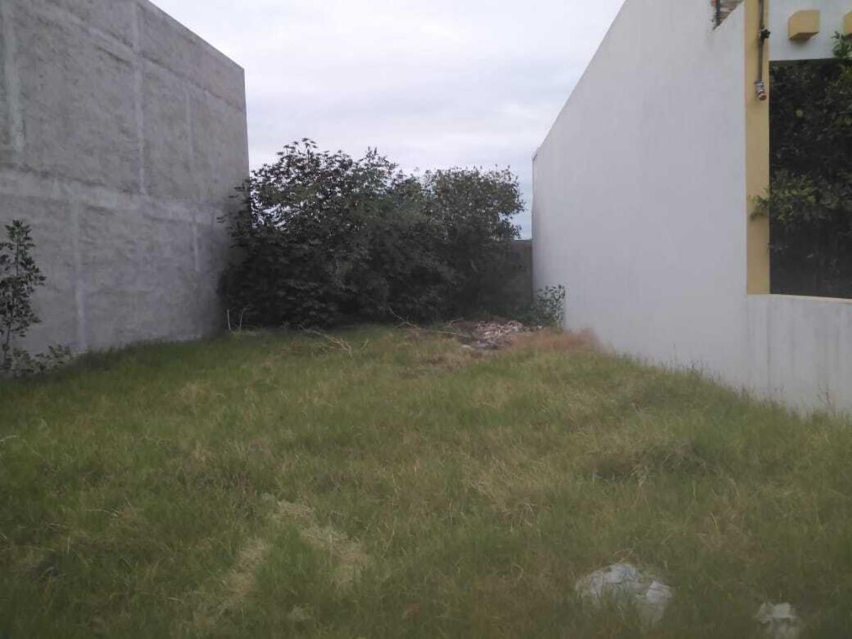 Terreno en venta en San Isidro, San Juan del Río — foto 1 de 2
