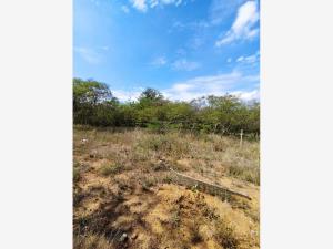 Terreno en venta en Tlalixtac de Cabrera, Tlalixtac de Cabrera — foto 3 de 9