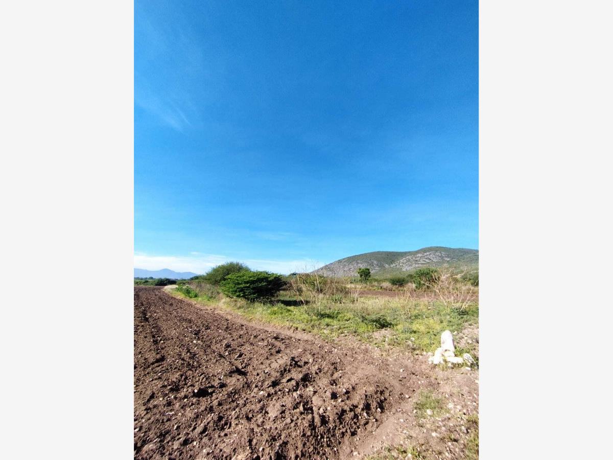 Terreno en venta en Santa María del Tule Centro, Santa María del Tule — foto 1 de 7
