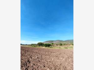 Terreno en venta en Santa María del Tule Centro, Santa María del Tule — foto 2 de 7