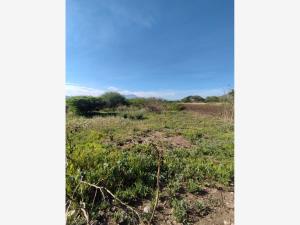 Terreno en venta en Santa María del Tule Centro, Santa María del Tule — foto 3 de 7