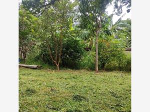 Casa en venta en Tlalixtac de Cabrera, Tlalixtac de Cabrera — foto 2 de 18
