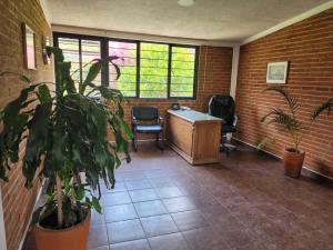 Departamento en renta en Sanctorum, Cuautlancingo — foto 3 de 17