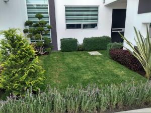 Casa en venta en San Antonio El Desmonte, Pachuca de Soto — foto 2 de 34