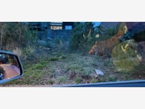 Terreno en venta en Bosque Monarca, Morelia — foto 3 de 3