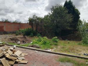 Terreno en venta en Jesús Tlatempa, San Pedro Cholula — foto 3 de 6