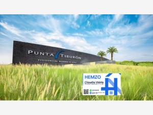 Casa en venta en Punta Tiburón, Residencial, Marina y Golf, Alvarado — foto 3 de 3