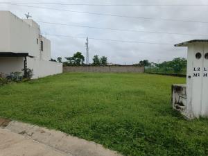 Terreno en venta en Ixtacomitán 2da. Sección, Centro — foto 2 de 2