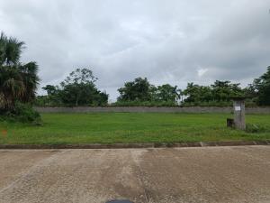 Terreno en venta en Ixtacomitán 2da. Sección, Centro — foto 2 de 2