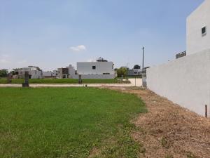 Terreno en venta en Ixtacomitán 2da. Sección, Centro — foto 2 de 2