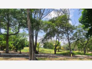 Terreno en venta en Club de Golf Villa Rica, Alvarado — foto 3 de 5